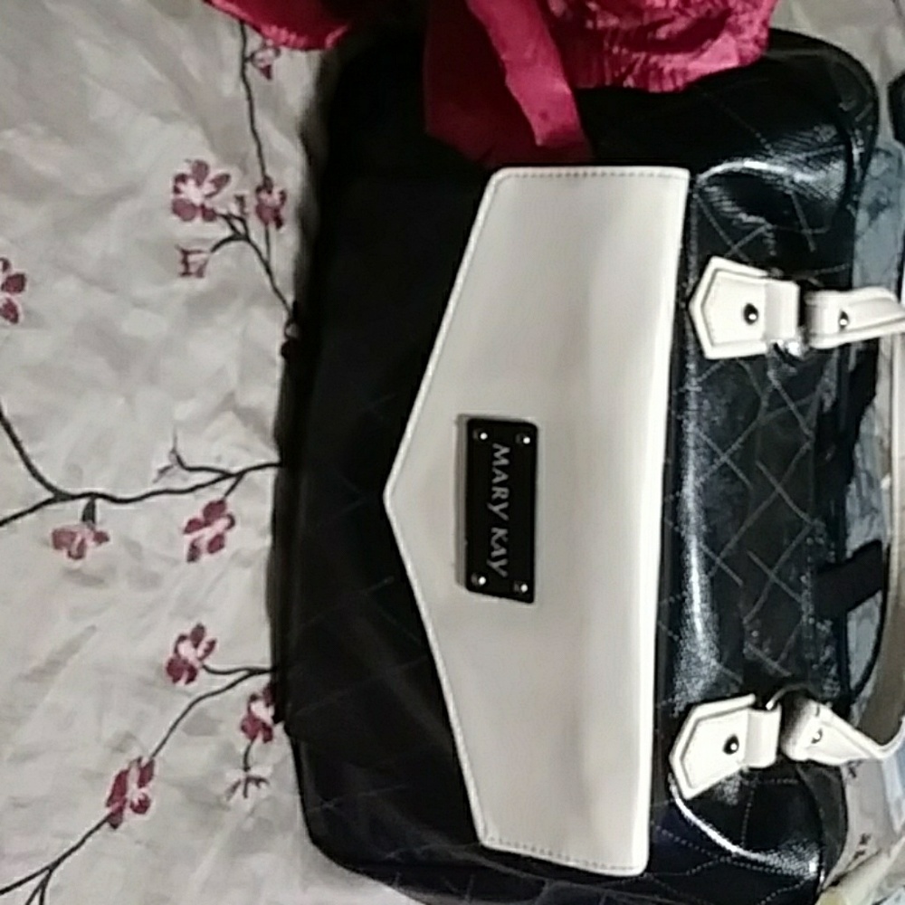 Mary Kay carry all bag and insert